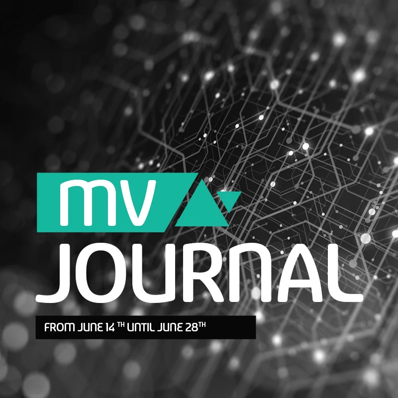 MV Journal June 13 - June 28